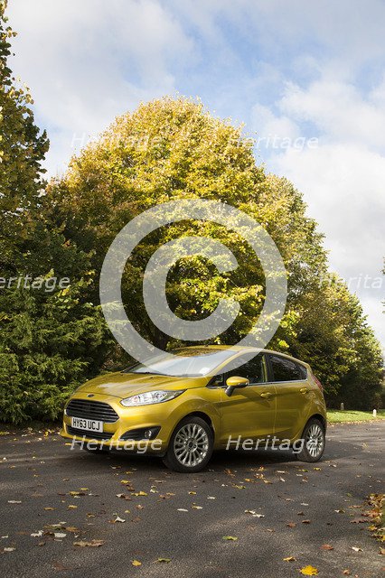 2013 Ford Fiesta Econetic Artist: Unknown.