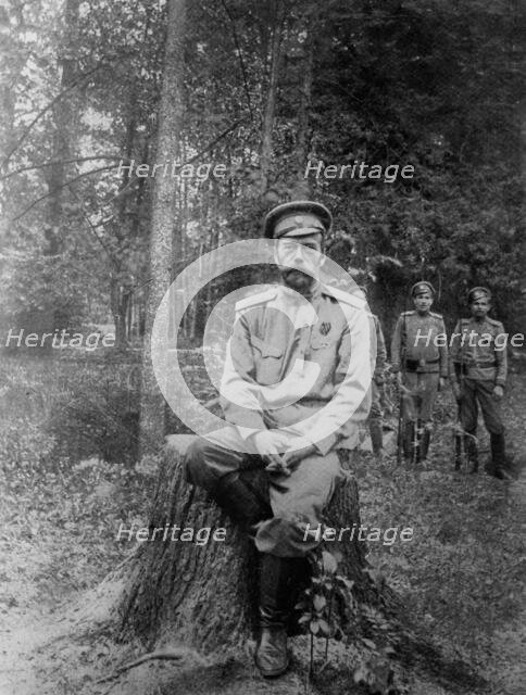 Nicholas Romanoff [Romanov], 1917. Creator: Bain News Service.