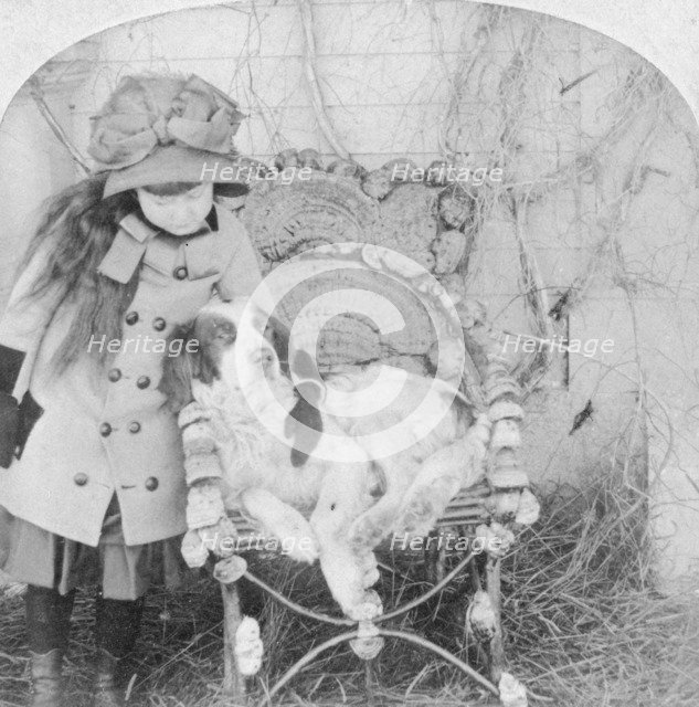 'Can't you talk, Jack?', 1882. Artist: BW Kilburn