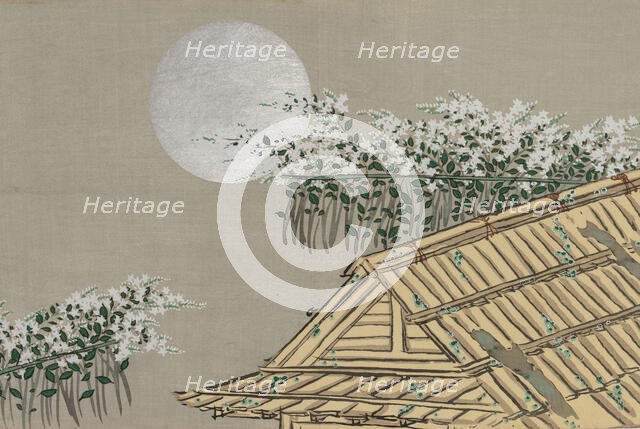 Autumn Flowers (Aki no hana). From the series "A World of Things (Momoyogusa)", 1909-1910. Creator: Sekka, Kamisaka (1866-1942).