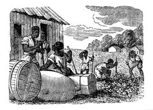 Slaves working on a tobacco plantation, 1833. Artist: Anon