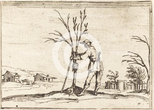 Gardener Pruning a Tree, 1628. Creator: Jacques Callot.