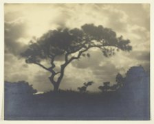 Untitled (Cloudy Landscape with Tree), 1850-1900. Creator: Unknown.