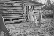 Burroughs children and cow near the barn, Hale County, Alabama, 1936. Creator: Walker Evans.