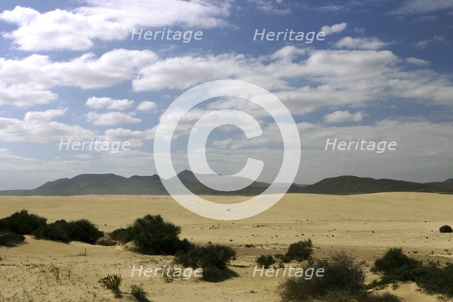 Sand Dunes, Corralejo, Fuerteventura, Canary Islands.