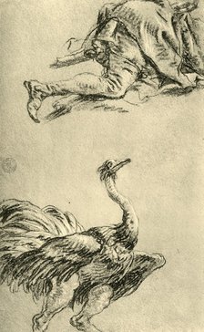 'A running Ostrich', 1752-1753, (1928). Artist: Giovanni Battista Tiepolo.
