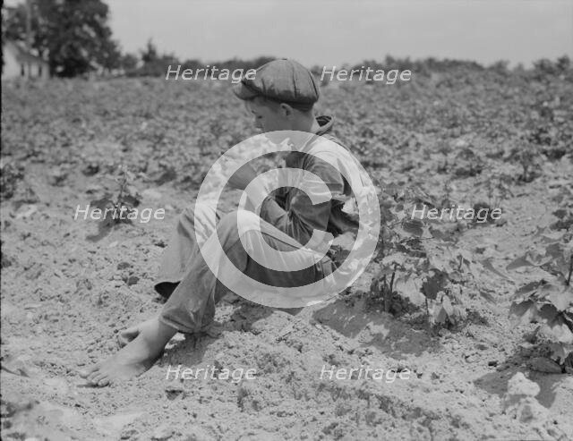 Sharecropper boy near Chesnee, South Carolina, 1937. Creator: Dorothea Lange.