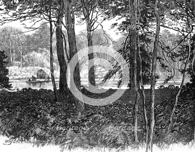 View in Claremont Park, Surrey, 1900. Artist: Unknown