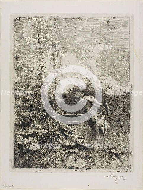 Amateur de Jardin, n.d. Creator: Mariano Jose Maria Bernardo Fortuny y Carbo.