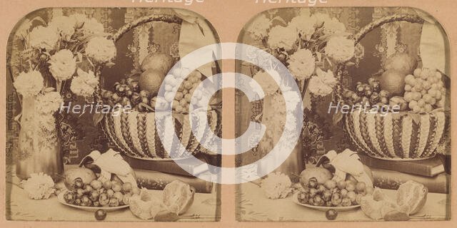 A Study in Still Life., 1902. Creator: RY Young.