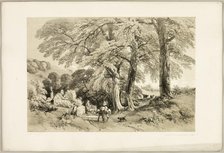 Wych Elm, from The Park and the Forest, 1841. Creator: James Duffield Harding.
