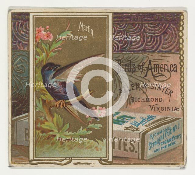 Martin, from the Birds of America series (N37) for Allen & Ginter Cigarettes, 1888. Creator: Allen & Ginter.