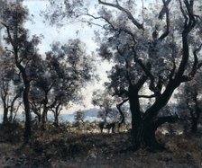 'Olive Trees around Cap Martin', 1891.  Artist: Emmanuel Lansyer