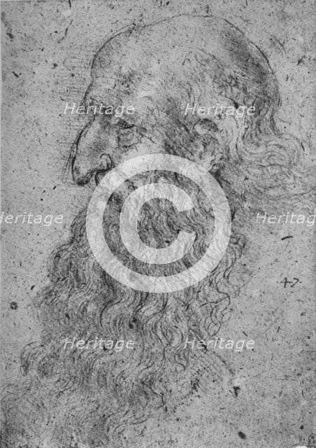 'Profile of an Old, Bearded Man to the Left', c1480 (1945). Artist: Leonardo da Vinci.
