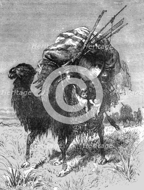 'Camel of a Tartar Emigrant; The newly-conquered Russian Province of Dzungaria', 1875. Creator: Armin Vambery.