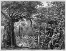 View Taken in the Forests of Guam Island, Mariana Islands, 19th century. Creators: Alexander Postels, Alexis Victor Joly.