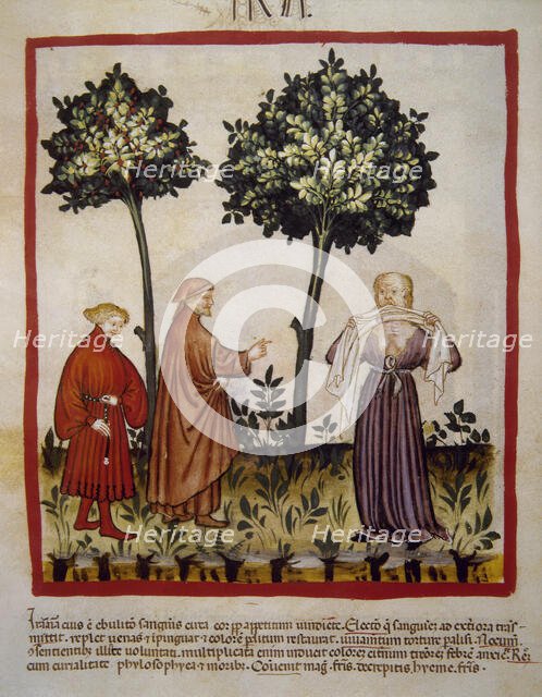 A man flies into a rage, 14th century.  Creator: Unknown.