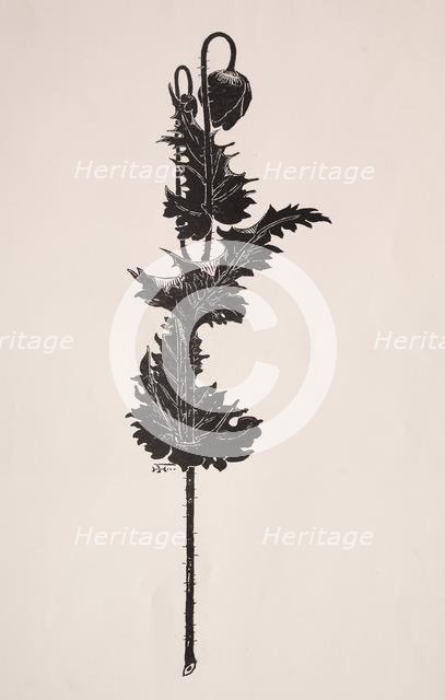 Flower Study. Creator: Harry Fenn (American, 1838/45-1911).