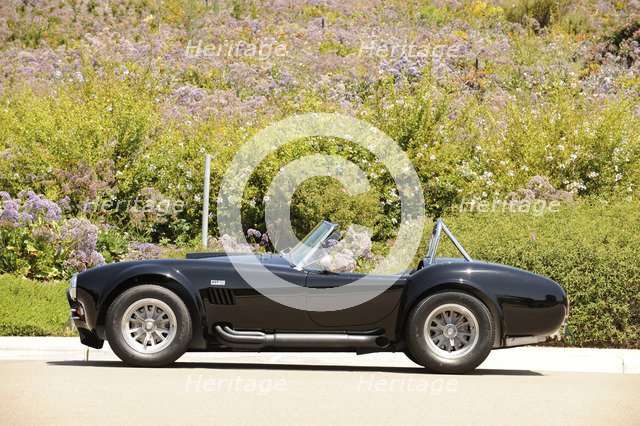 AC Cobra 427 1966. Artist: Simon Clay.