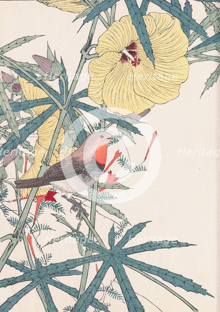 The Four Seasons Bird and Flower Albums (Keinen Kacho Gafu), 1891-1892. Creator: Keinen, Imao (1845-1924).