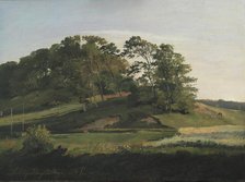 Wooded Hills at Sorupvang, 1841. Creator: Johan Thomas Lundbye.