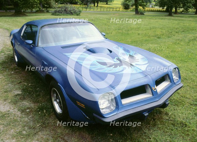 1974 Pontiac Trans AM 455 Super Duty. Artist: Unknown.