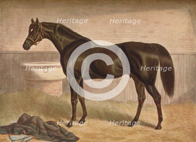 Gladiator, 19th century, (1903). Artist: John Frederick Herring I