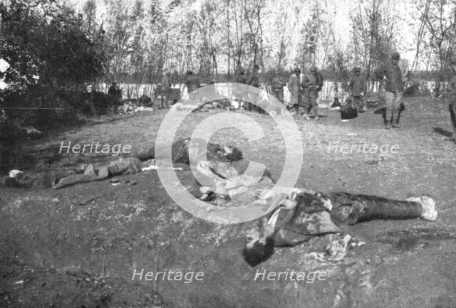 The Italians turn things around; Bodies of Austrian soldiers killed by Italian fire.., 1917. Creator: Unknown.