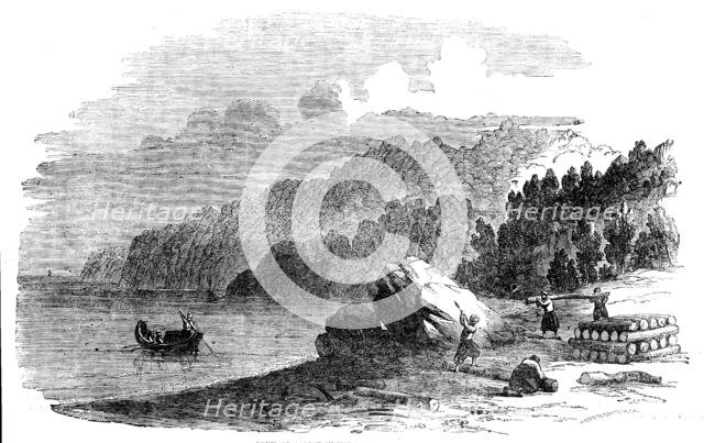 Boxwood Forest on the Shores of the Black Sea, 1858. Creator: Harvey Orrin Smith.