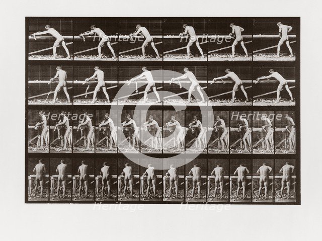 Man planing wood, Plate 379 from Animal Locomotion, 1887 (photograph)