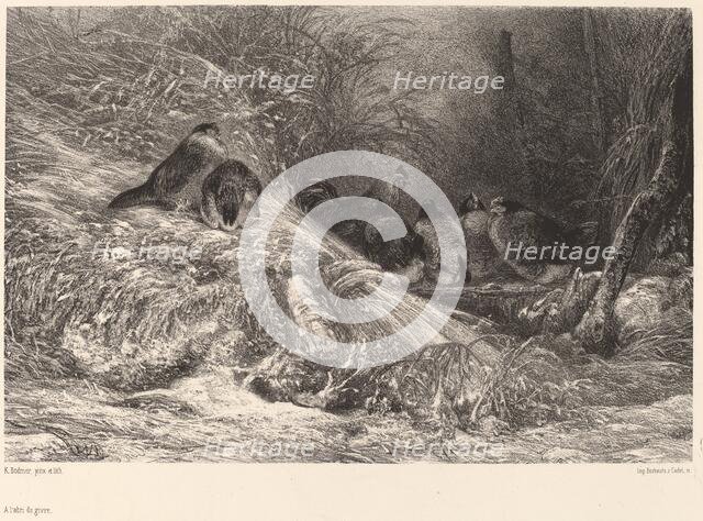 A l'abri du givre. Creator: Karl Bodmer.