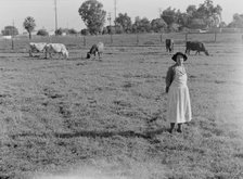 This farm of twelve acres operated as a prune ranch, Tulare County, California, 1938. Creator: Dorothea Lange.
