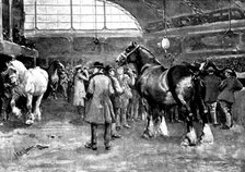 The Shire Horse Show at Islington: preparing for the parade, 1895. Creator: George Meisenbach.