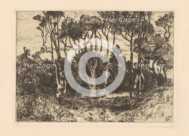 Solitude, 1880. Creator: Mary Nimmo Moran.