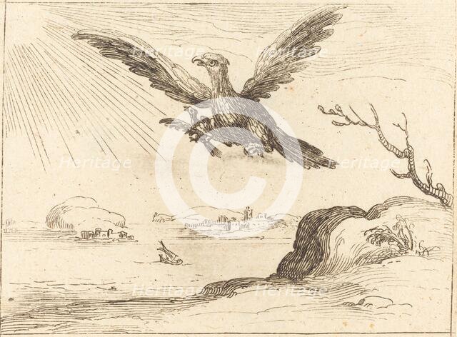 Eagle and Young. Creator: Jacques Callot.