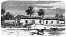 A Boer farm, South Africa, c1890. Artist: Unknown