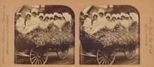 A bevy of beautiful belles in a fine floral float, Los Angeles, Cal., U.S.A., 1901. Creator: RY Young.