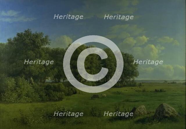 The Island of Brandso with Wedellsborg Forest, Funen, in the Distance, 1843. Creator: Dankvart Dreyer.