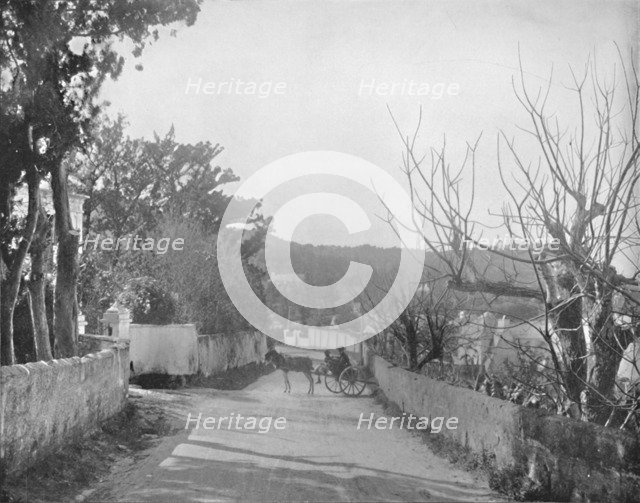 'A Road in Port Royal, Bermuda', 19th century. Artist: Unknown.