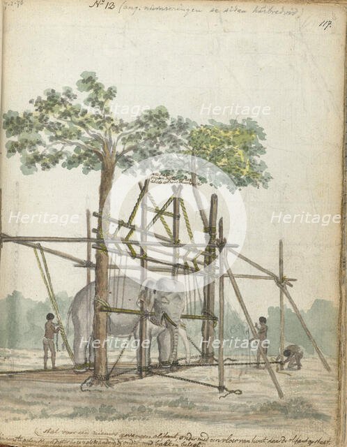 Elephant stable, 1786. Creator: Jan Brandes.