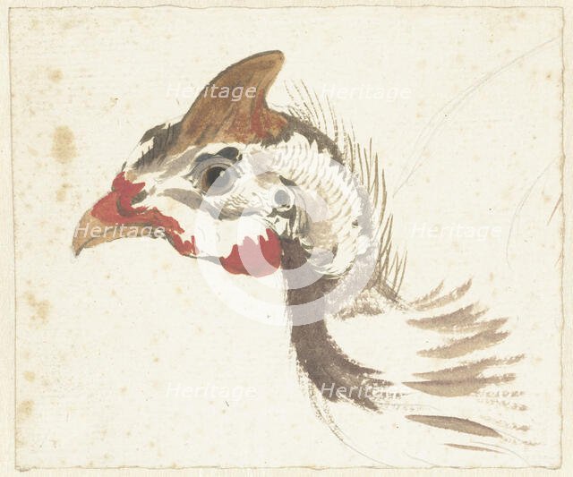 Head of a Helmeted Guineafowl, 1720-1792. Creator: Aert Schouman.