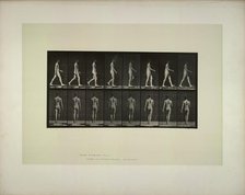 Animal locomotion: males (pelvis cloth), 1887. Creator: Muybridge, Eadweard (1830-1904).