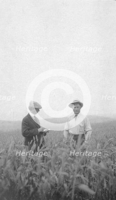 Frank G. Carpenter at an experimental farm, between c1900 and 1916. Creator: Unknown.