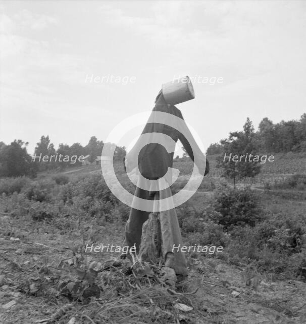 Untitled, possibly realted to: Scarecrow on a newly cleared..., near Roxboro, North Carolina, 1939. Creator: Dorothea Lange.