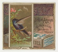 Martin, from the Birds of America series (N37) for Allen & Ginter Cigarettes, 1888. Creator: Allen & Ginter.