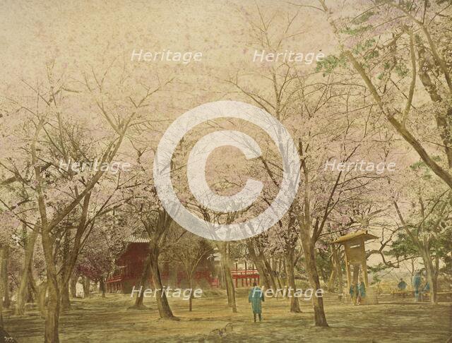 Public Garden Uyeno Tokio, 1865. Creator: Unknown.