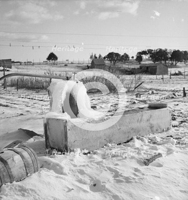 Short growing season, Utah, 1936. Creator: Dorothea Lange.
