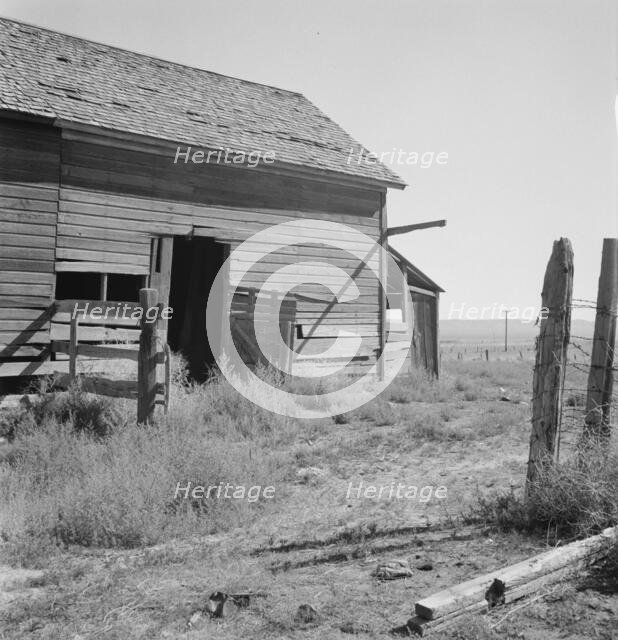 Possibly: Weeds crowd the barn door abandoned in Columbian Basin, Grant County, Washington, 1939. Creator: Dorothea Lange.