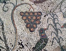 Mosaic in the Amphitheatre house representing a cluster of grapes and a bird, preserved in the ar…