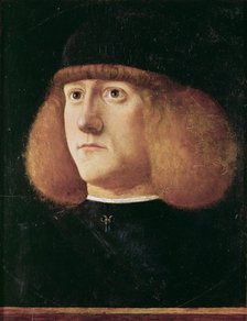 Portrait of a Young Man.